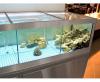 Торговые аквариумы, Холодильные витрины рыба на льду
